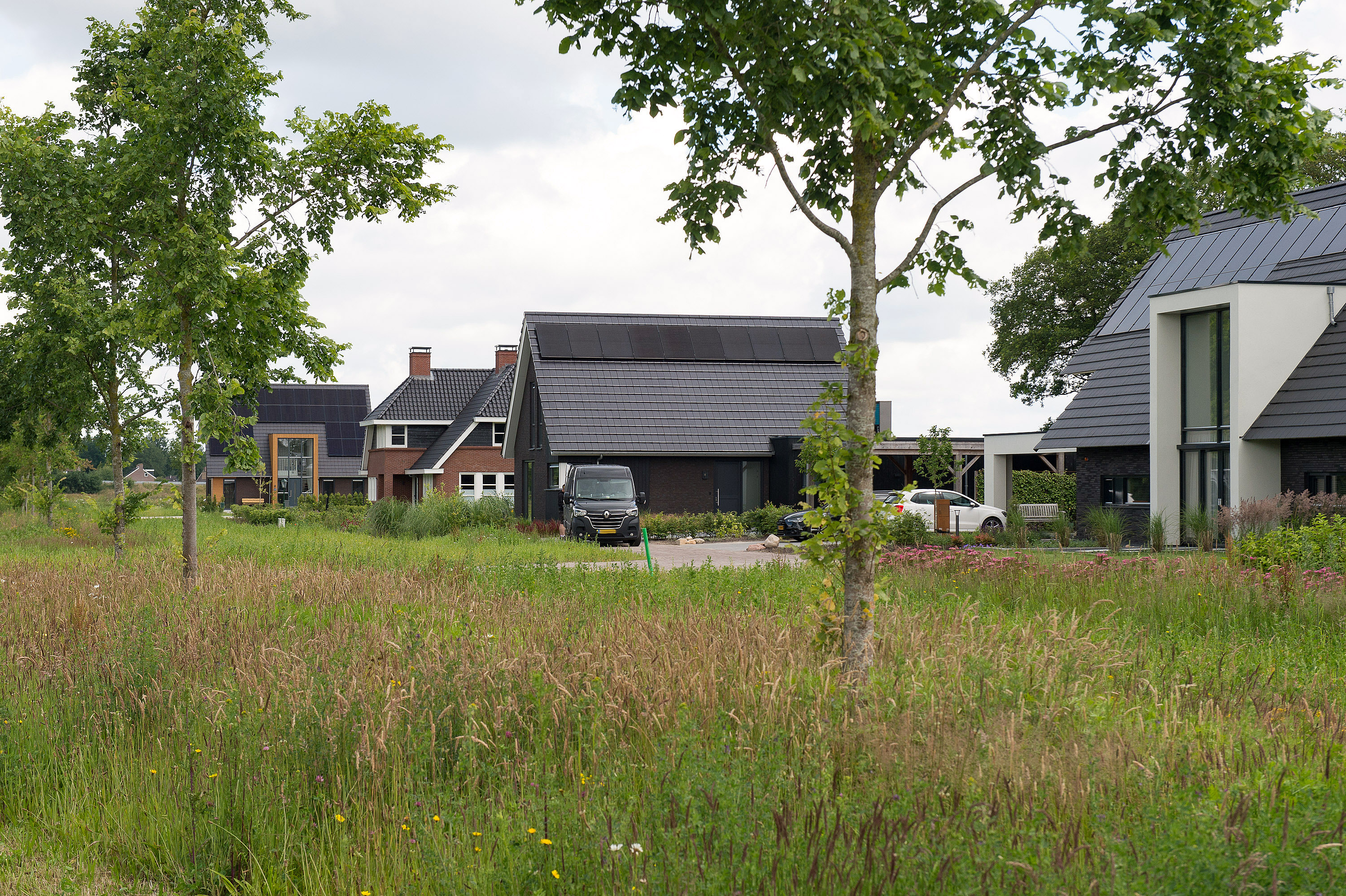 Nooitgedacht juni 2024 (3)