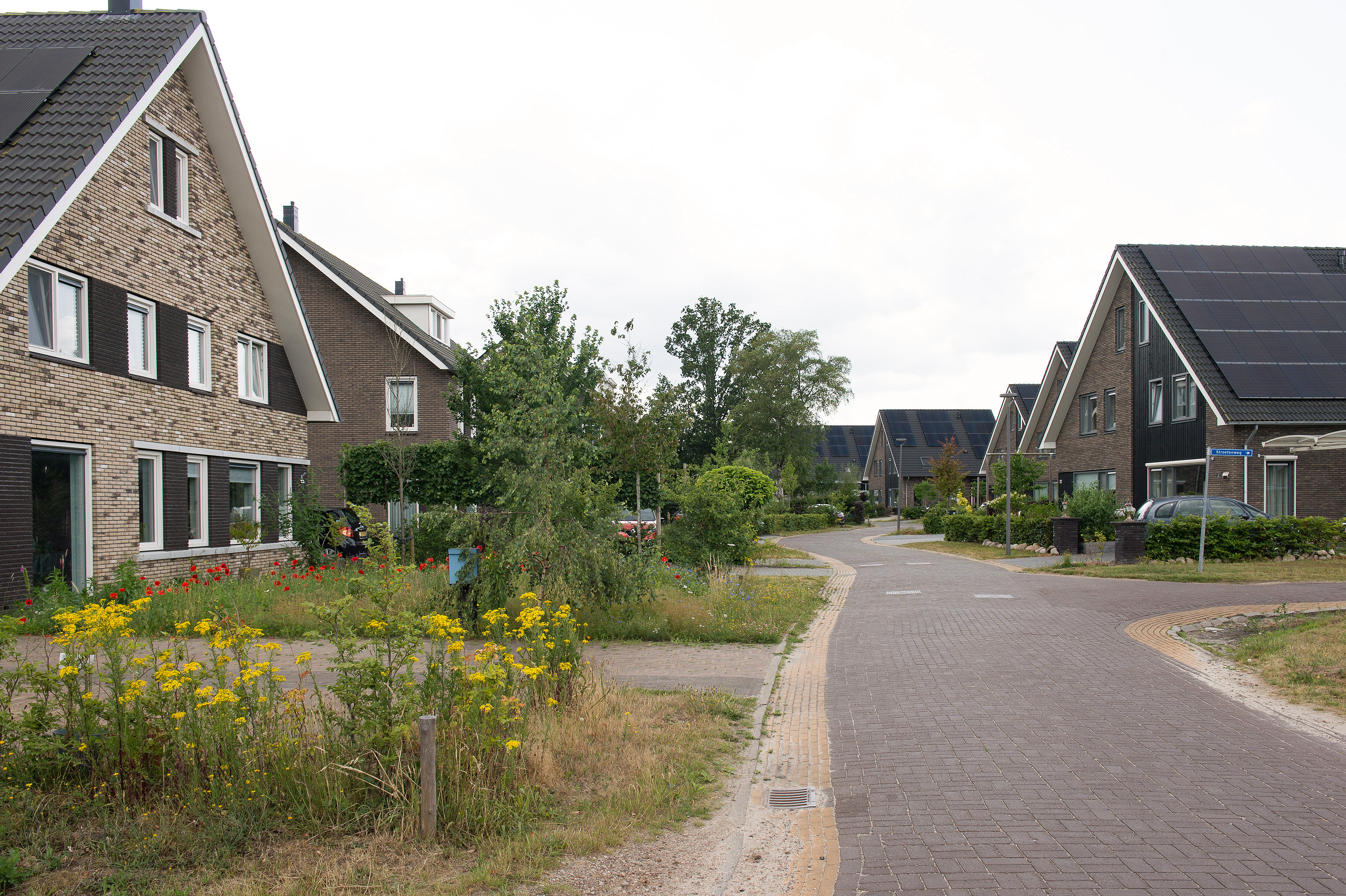 42 Nooitgedacht juli 2023 FBM